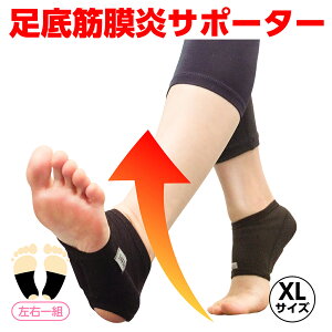 ؖ T|[^[    ؖ C ؖ T|[^[ T|[^[ q   C G T|[^[ LɐO FT|[^[ ؖ T