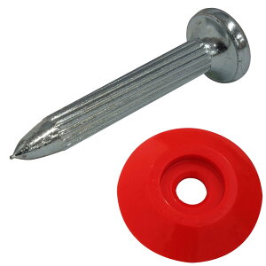 BeHAUS RmG lCZbg  No.2S ʂ̊_(AXt@gp) V@