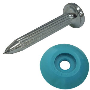 BeHAUS RmG lCZbg  No.2S ʂ̊_(AXt@gp) V@