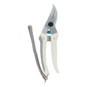 sita K[fjO͂ A905 n[hNŃTrɋ ߂̎}NN