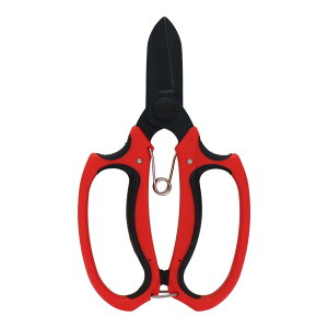 sita tbfR[eBO Ԃ͂ A922 łyX邢؂ꖡ`