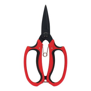 sita tbfR[eBO A؂͂ A921