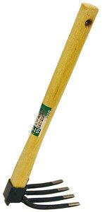 sita ЎLl{ A484 yN⌊@AׂƂɂ