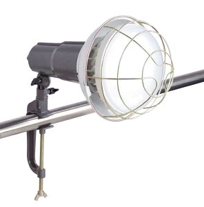 trad NvLED 50W TCL-50W ȓd͂ő