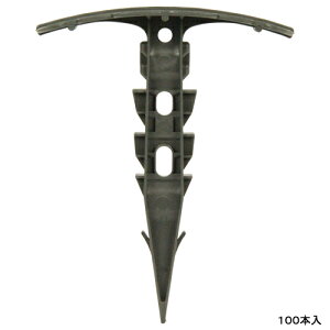 ZteB|3 }` 100