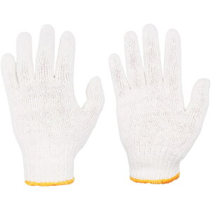 ~^j {ȌR #600 600g 8Q[W R ȍ 2{ 12o IWXg t[TCY zEy؁Eʍƌ