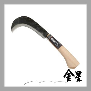 �S�[���f���X�^�[ �L���{�V �b���늙 1607 �}�ł��E�}�����p 190g