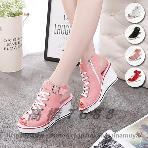 Xj[J[ q[Xj[J[ fB[XT_ nCq[ [XAbvV[Y EFbW\[ JWAV[Y [XAbv Xj[J[  q[8cm I[vgD g