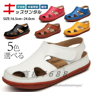 LbY T_ JWAT_{vj̎qX|[cT_ r[`T_ X|T LbY q ܐ   ₷  ėp qC LbY V[Y C Lb