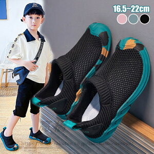 qC Xb| Xj[J[ X|[cV[Y T_ ̎q j̎q bV   ʋC WjA LbY wV[Y EȒP qV[Y  ʊw w w s