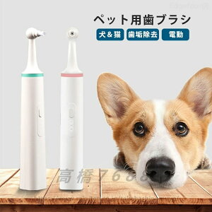 ybg uV duV ybgpuV p Lp I[PA oNeA a N[jOc[ 