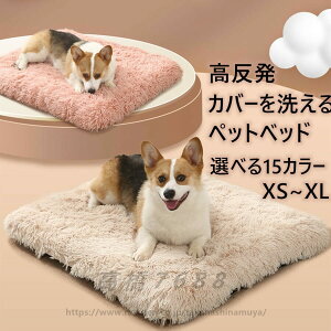 ybgxbh  NbVxbh 􂦂 ^ ^/^/^ VjA h~ h _ɂNbV ӂӂ ʔN XNGA^Q[Wp}bgX E^