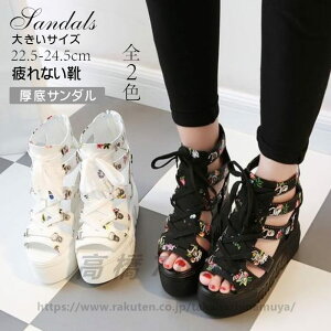 T_ T}[u[c   XG[h V[Y q[ [XAbv fB[X tbgT_ 傫TCY