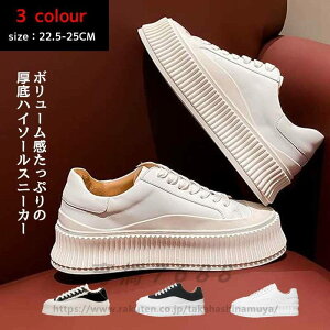 {vXj[J[fB[XXj[J[ ʊw₷_CGbgXj[J[fB[XEH[LOV[Yy ₷ ɂȂtV샌fB[X Xj[J[ jOV