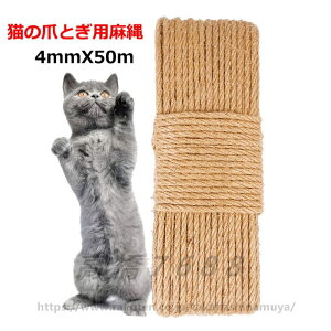  [v L̒܂Ƃp 4mmX50m Lbg^[p[v  DIY | R ybgpi ܂Ƃ