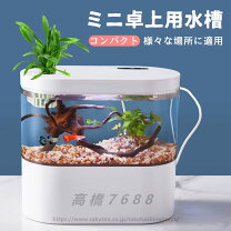 楽天市場】かわいい（水槽セット｜水槽・アクアリウム）：熱帯魚 
