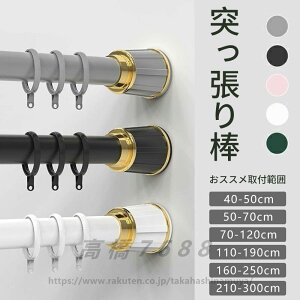J[eOt˂_  S5F 6TCY Lk_ 40-50cm ~ 210-300cm ς_ sv nK[bN  J[e ̂ق hsv  󕨊  O 