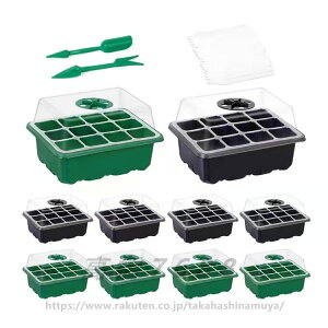 12 c|bg cgC c qgC ܂nEX c  cZbg Jo[ ֗ ϋv ʋC ܂|bgi5O[+5ubNj 