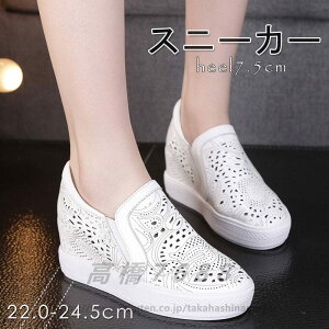 y Cq[Xj[J[@{v ɂȂ fB[X  @zCg Xj[J[ EFbW\[ Xb| Cq[Xb| Cq[ Cq[Xj[J[ Xj[J[ 