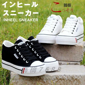 Cq[ Xj[J[ fB[X   fB[XV[Y fB[X V[NbgV[Y vbgtH[V[Y Xj[J[ q[2cm Cq[3cm Xj[J[ y 