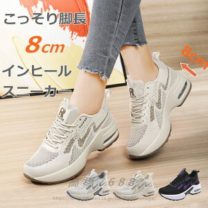 Cq[Xj[J[ fB[X Xj[J[ fB[X fB[XXj[J[ V[Y V[NbgV[Y r [XAbv 8cm q[Abv Cq[ Xj[J