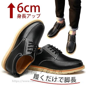 V[NbgV[Y Y 6cmgAbv JWAXj[J[  vC V[NbgXj[J[ Y gAbvV[Y JWAV[Y q[Abv グ rWlXV[