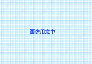 iC@zǃJo[@WOP-F101(K)SS@24-1598