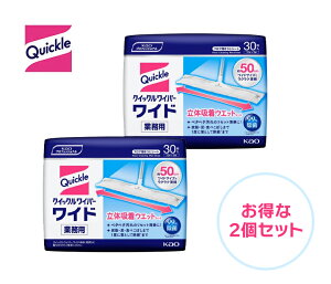 ԉ NCbNCp[Ch̋zEGbgV[gƖp 30×2