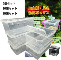 楽天市場】カブトムシ 飼育ケース コンテナの通販
