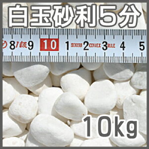 yzʍ5y10kgzy15-20mmz