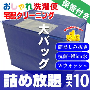 【P10倍&1000円オフクーポン!】クリーニング 詰め放題 宅配 10点 クリーニング 保管 衣替え 新生活 タカケン ダブルウォッシュ 汗とり 最大一年保管 宅配クリーニング【サービス特集認定商品】10点 保管ありコース