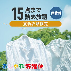 【送料無料】クリーニング 詰め放題 宅配 15点 クリーニング 夏物限定 保管 衣替え 新生活 タカケン ダブルウォッシュ 汗とり 宅配クリーニング【サービス特集認定商品】15点 保管ありコース