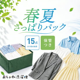 ★期間限定商品★ 春夏さっぱりパック 15点 まで詰め放題 保管つき 宅配クリーニング 春・夏物限定 衣替え ダブルウォッシュ 汗とり 最大6月まで保管【サービス特集認定商品】