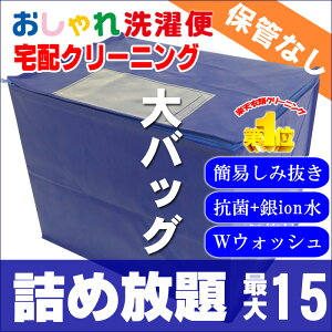 【送料無料】クリーニング 詰め放題 宅配 15点 クリーニング 保管 衣替え 新生活 タカケン ダブルウォッシュ 汗とり 最大一年保管 宅配クリーニング【サービス特集認定商品】15点 保管なしコース