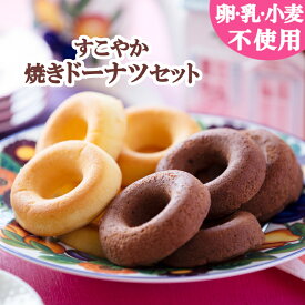 【卵乳小麦アレルギー対応】【グルテンフリー】すこやか焼きドーナツセット（プレーン、ココア）【アレルギー対応 卵・乳・小麦不使用　誕生日　ギフト　　豆乳　米粉　記念日　プレゼント　おやつ　ドーナツ】