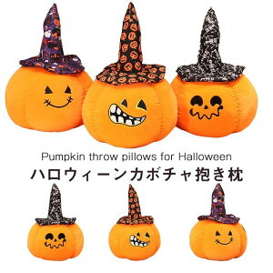 ʂ ڂ  nEC j  X@LOi v[g 60cm