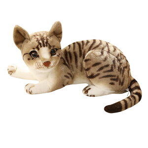 ʂ ˂ L lR A 킢  CeA ӂӂ j  YQ av[g 27cm