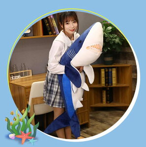 \tggC ʂ V[N T ʂ݂ӂӂ BIGTʂ  Aj} NbV 킢 傫 CeA 110cm