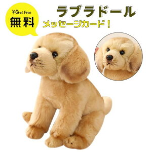 メッセージ カード 犬 ホビーの人気商品 通販 価格比較 価格 Com