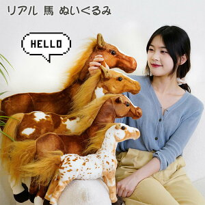 ʂ A n  GG   YQ 킢  蕨 v[g 30cm