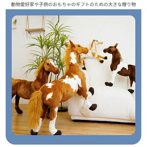ʂ A n  GG   YQ 킢  蕨 v[g 60cm