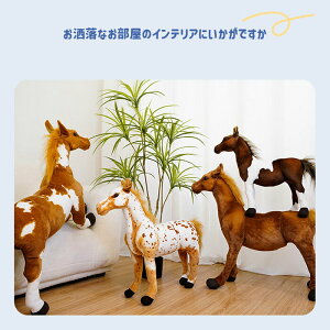 ʂ A n  GG   YQ 킢  蕨 v[g 40cm