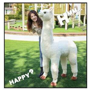 ʂ Ђ ApJ A  킢 ӂӂ j CeAG v[g X 60cm