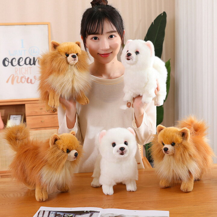 楽天市場】ぬいぐるみ ポメラニアン 犬 リアル 本物そっくり 生々しい 