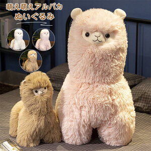 ApJ ʂ   Aj}  3FI 킢 G Mtg v[g Xu 40cm