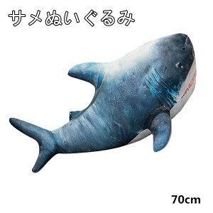 ʂ T  傫L̕ A Cm  Tʂ ӂӂ틛̕܂  q  NbV av[g LbYG 70CM