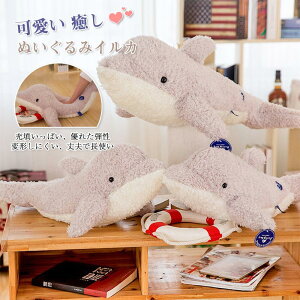 ʂ CJ 邩 C  Cm C܂   ʂ n  q CeA NX}X v[g a Mtg 50/70cm