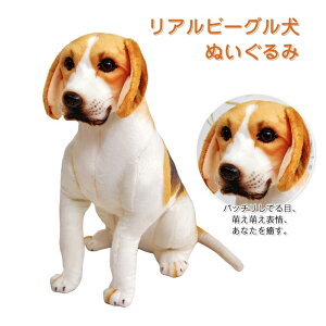  ʂ A r[O hbO  q     D Mtg v[gȂǂ 蕨 45cm 55cm 65cm 