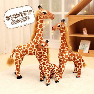 �L���� �ʂ������ �� ���A�� �����܂��� �A�j�}�� ���킢�� �L���� ���f�� �l�` �������� �q���p �G�� �B�e���� �u�� �C���e���A �N���X�}�X ���a���� �M�t�g �v���[���g