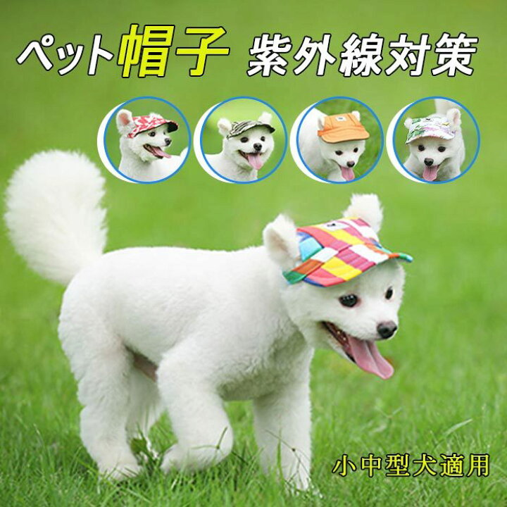楽天市場 ペット帽子 犬 猫用 かわいい キャンバス制 野球帽 日焼き防ぐキャップ 紫外線対策 通気 アウトドア 屋外 日除け帽 小型犬 中型犬適用 ネコキャップ イヌキャップ ハット 帽子 散歩帽子 犬の散歩用 お出かけ用 ペット用ハット ペット用品 貴子楽天市場店